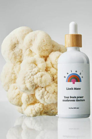 Lion's Mane Dual Extract Tincture | Alcohol-Free 100ml