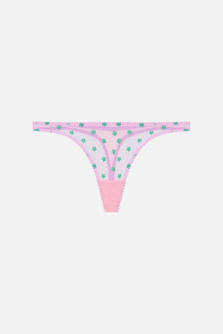 Arella Embroidered Thong | Pink