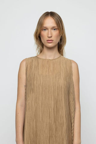 Sheer Pleated Maxi Dress