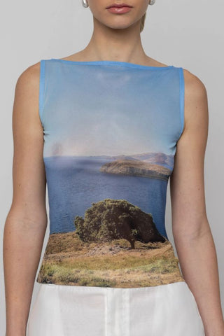 Printed Mesh Boat-Neck Top