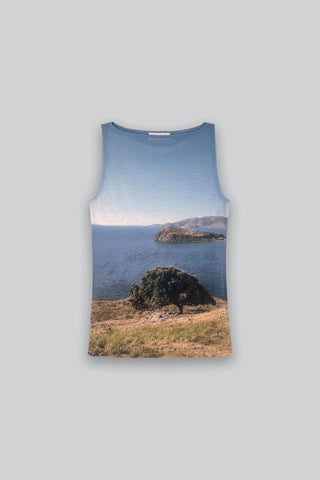 Printed Mesh Boat-Neck Top