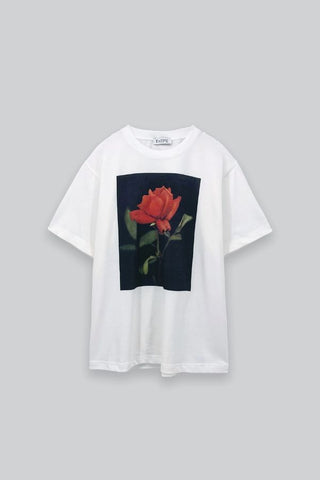Rose Print Cotton T-Shirt | Off White