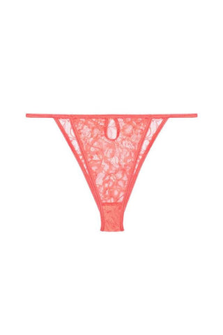 Corail Briefs