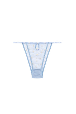 Pacquerette Briefs
