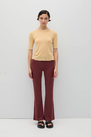 Roya Top