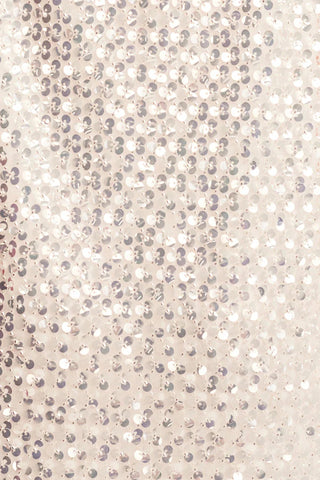 Asteri Mini Dress | Silver