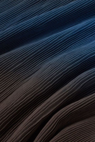 Dora Glass Pleated Top