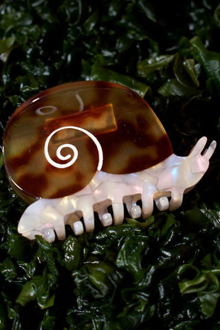 Sea Snail Hair Claw