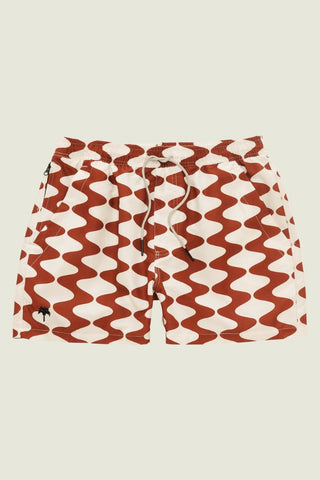 Big Lauda Swim Shorts