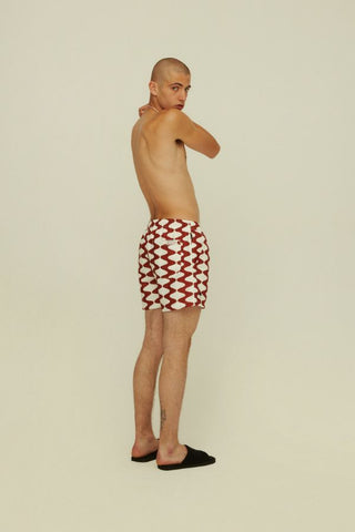 Big Lauda Swim Shorts