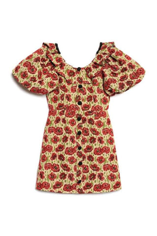 Shirley Poppy Tapestry Dress | Tan Red Floral