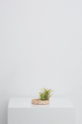 The perfect tray to place permanently as a table centrepiece, on a dresser for jewellery or as a kokadama tray. Irregularities in colour and pattern of each finished product are evidence of the careful hand-made process.  The tray you purchase will look similar to but will not be identical to the one photographed.